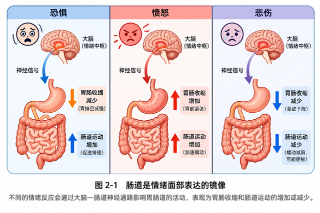 第二大脑之阅读感想配图